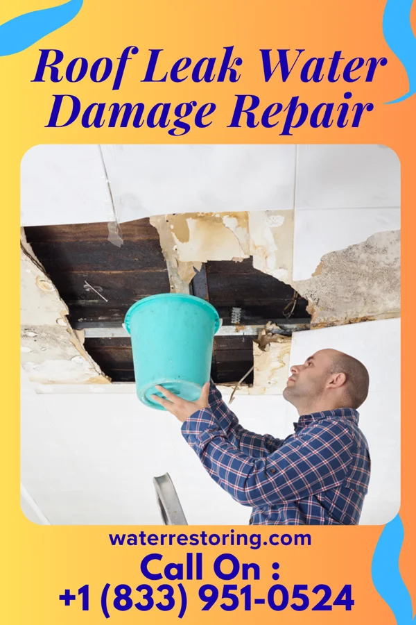 Roof Leak Water Damage Repair in Hopewell, PA